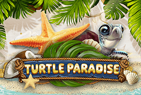 Turtle Paradise